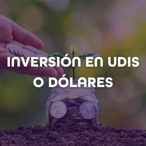inversión en UDIS